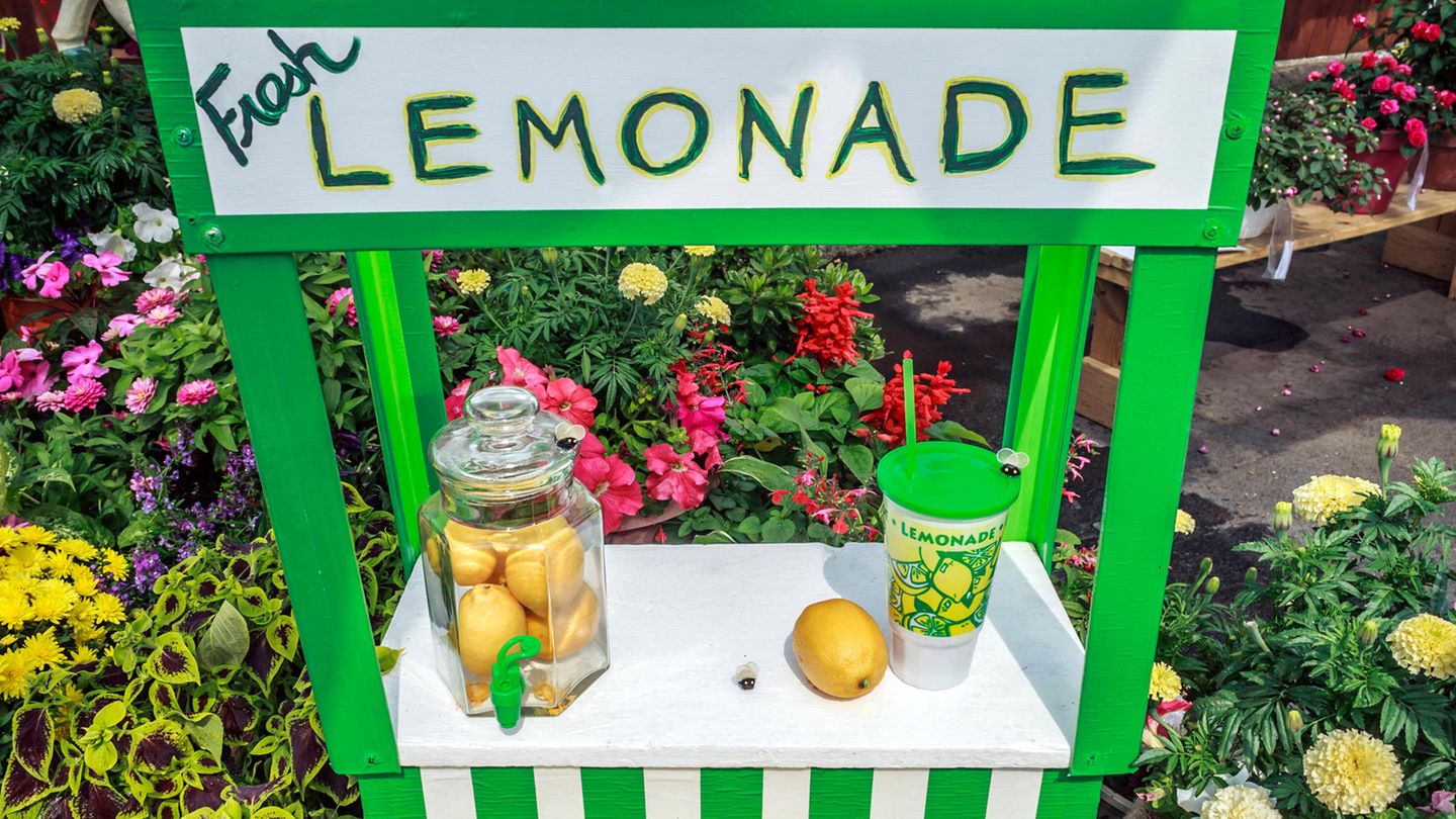 Ein Limonaden-Stand in einem Garten mit Zitronen