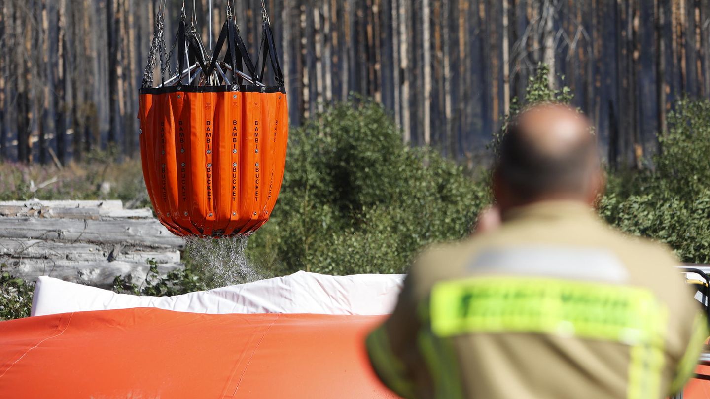 Waldbrand im Harz