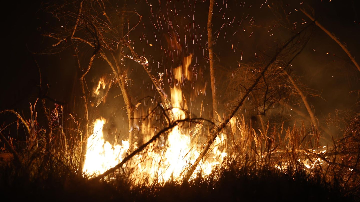 Waldbrand im Harz