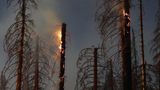Waldbrand im Harz