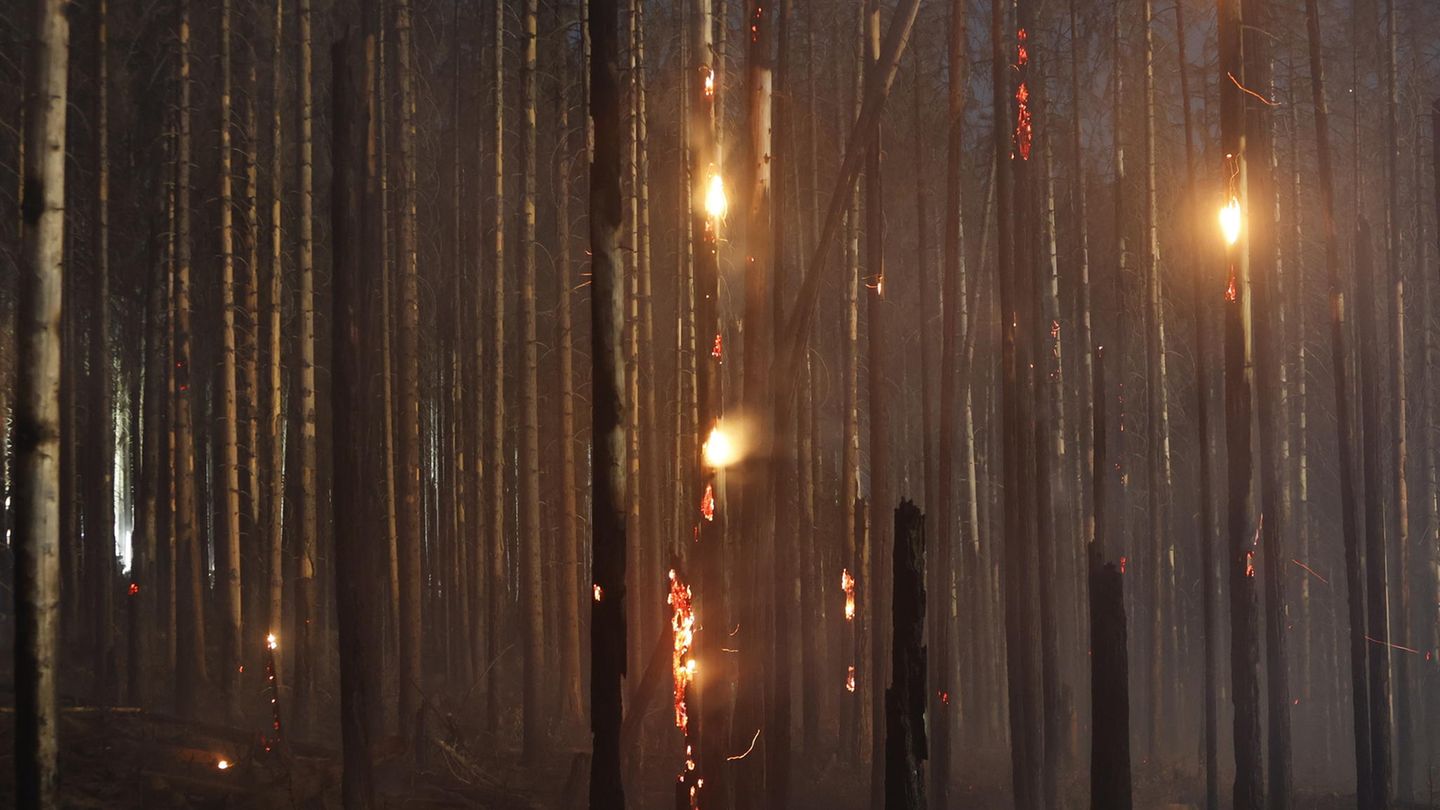Waldbrand im Harz