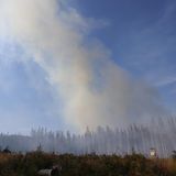 Waldbrand im Harz