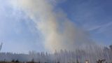 Waldbrand im Harz