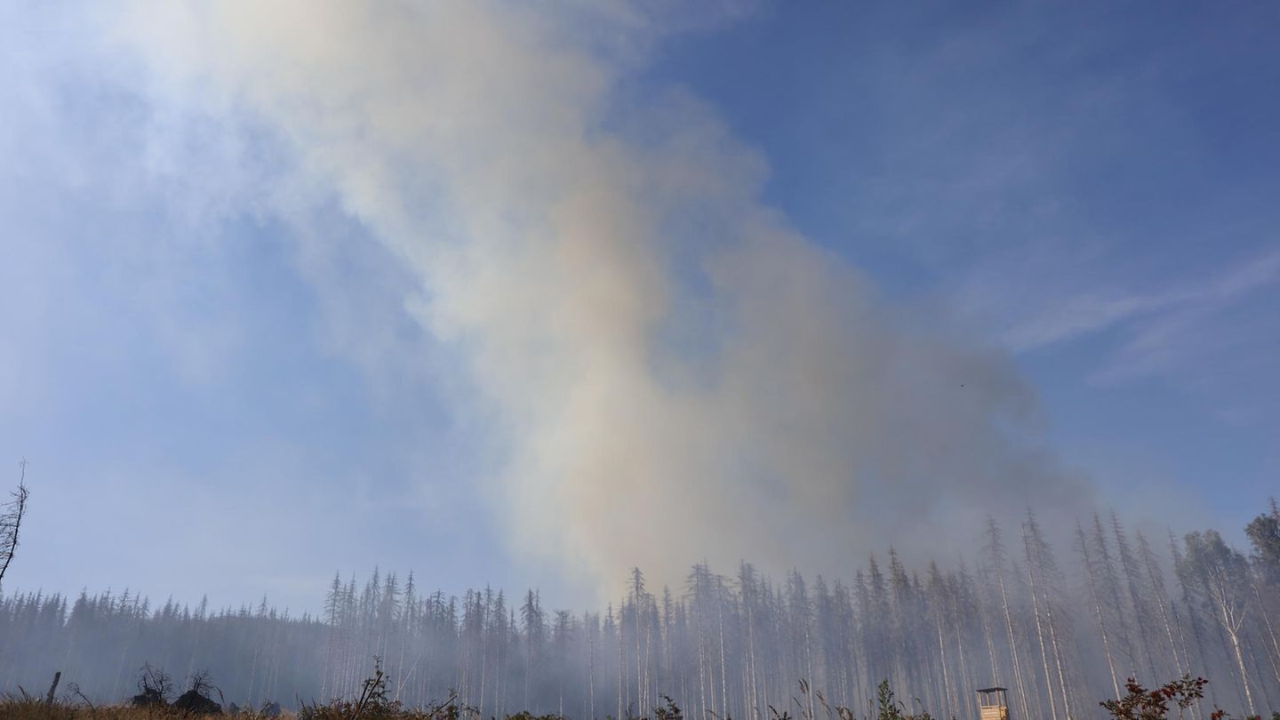 Waldbrand im Harz