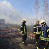 Waldbrand im Harz