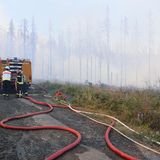 Waldbrand im Harz