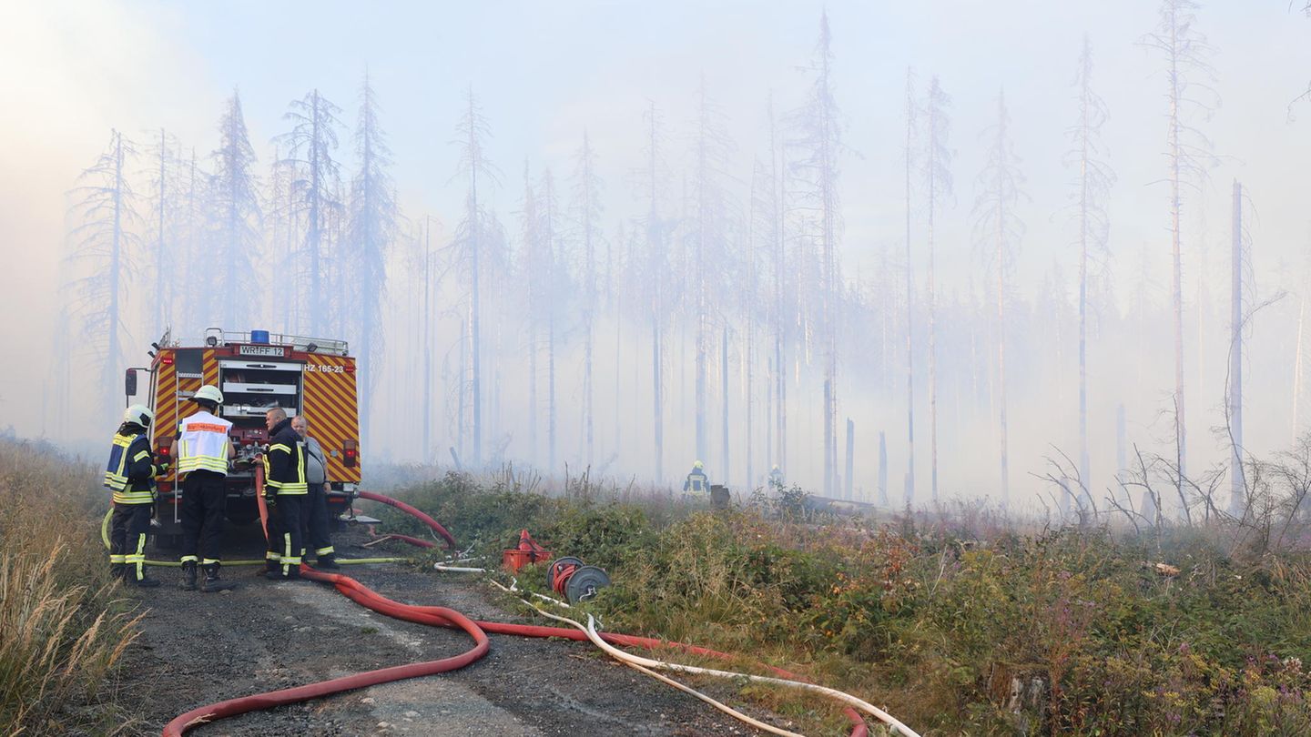 Waldbrand im Harz