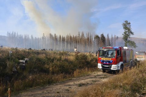 Waldbrand im Harz