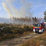 Waldbrand im Harz