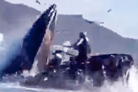 Ein gewaltiger Buckelwal nimmt zwei Kajak-Fahrerinnen beim Auftauchen in sein Maul.