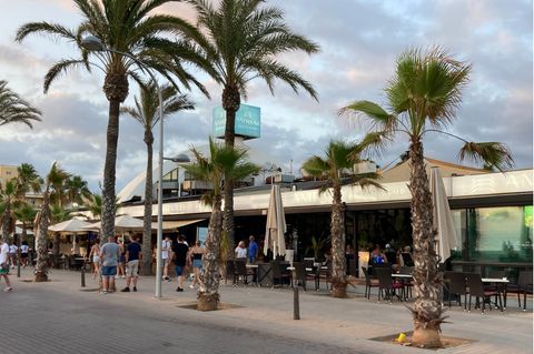 Unauffällig am Ballermann: Im Amrum Beach Club versteckt sich Mallorcas erster Comedyclub