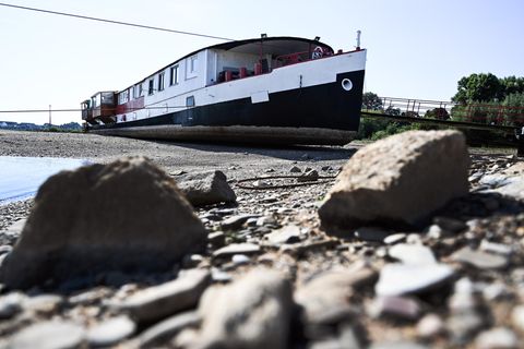 Rhein - auf dem Trockenen