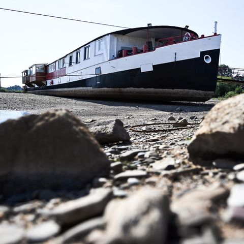 Rhein - auf dem Trockenen