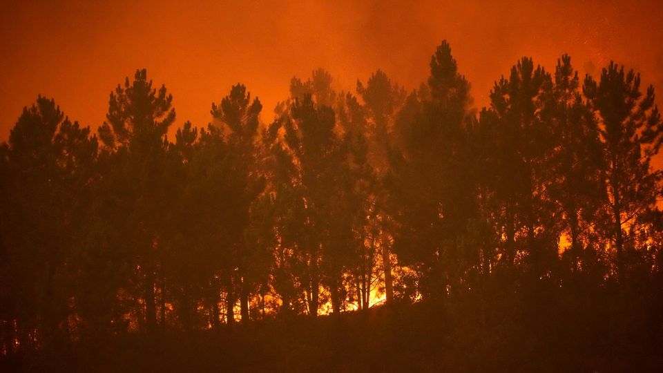 Waldbrände in Portugal flammen wieder auf