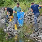 Freiwillige Helfer, wie hier in Lebus (Brandenburg), versuchen, die toten Fische aus dem Wasser zu bergen.