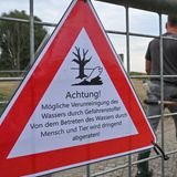Ein Schild, das vor dem Kontakt mit dem Wasser des deutsch-polnischen Grenzflusses Oder warnt, hängt in Lebus (Brandenburg) an einem Zaun. Seit mehren Tagen beschäftigt das massive Fischsterben auch die Anwohner des Flusses. Die Untersuchungen zur Aufklärung des massenhaften Fischsterbens in der Oder dauern an.