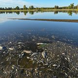 …und hier in Genschmbar, Brandenburg.