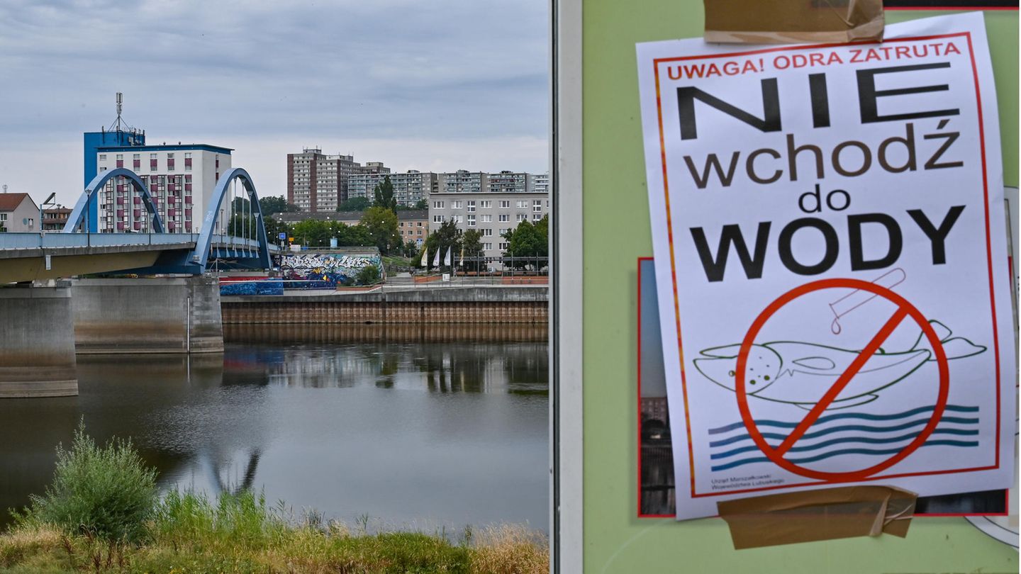 Deutsch-polnischer Grenzfluss: Polen, Slubice: Auch auf der polnischen Seite des deutsch-polnischen Grenzflusses, in Slubice, hängt ein Zettel mit der Aufschrift "Achtung Gift – Nicht ins Wasser der Oder gehen". Das polnische Veterinärinstitut schloss am Samstag Quecksilber als Ursache für das Fischsterben aus. Man warte nun auf die Ergebnisse von Untersuchungen auf andere Schadstoffe. Polen, Slubice: Auch auf der polnischen Seite des deutsch-polnischen Grenzflusses, in Slubice, hängt ein Zettel mit der Aufschrift "Achtung Gift – Nicht ins Wasser der Oder gehen". Das polnische Veterinärinstitut schloss am Samstag Quecksilber als Ursache für das Fischsterben aus. Man warte nun auf die Ergebnisse von Untersuchungen auf andere Schadstoffe.