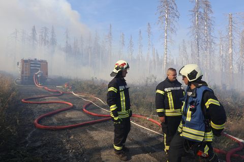 Die Rettungskräfte der Feuerwehr (hier in Sachsen-Anhalt) kämpfen mit immer neuen Waldbränden