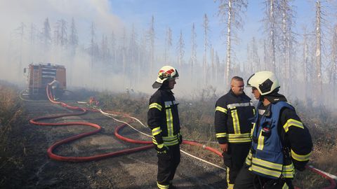 Die Rettungskräfte der Feuerwehr (hier in Sachsen-Anhalt) kämpfen mit immer neuen Waldbränden