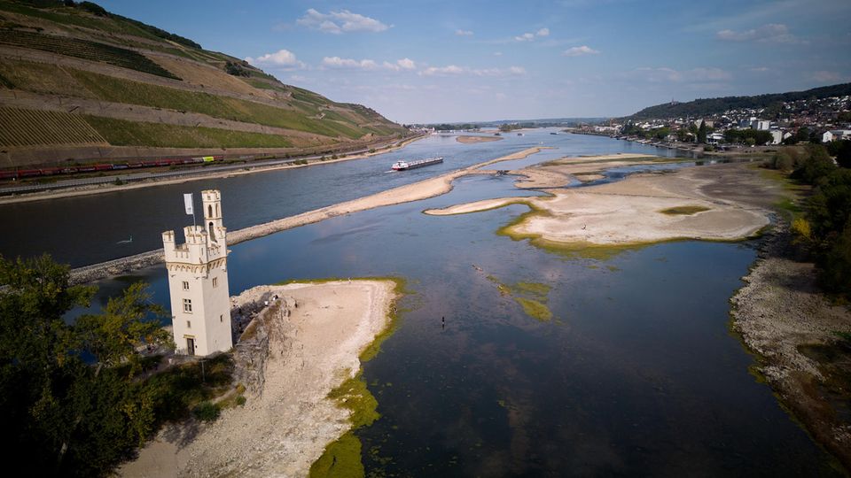 Niedriger Pegel Rhein