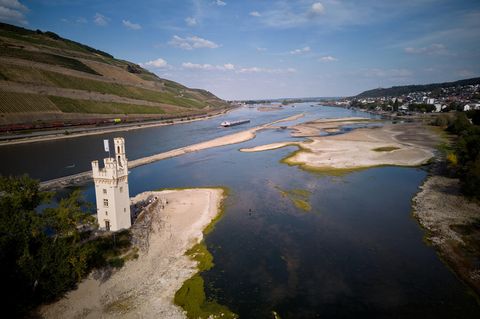Niedriger Pegel Rhein