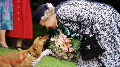 Ein Herz für Hunde: Queen Elizabeth streichelt einen ihrer Corgies
