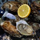 Trocken, zäh, zerfallen: Austern auf dem Grill? Keine gute Idee! Die Hitze des Grills sei viel zu stark für die empfindlichen Muscheln, sie verkochen und werden zu trocken, so Ghai. Ein ähnliches Schicksal ereilt auch ...