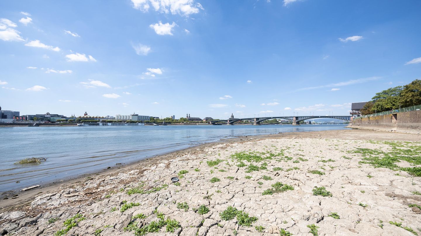 Rhein trocken - Mainz