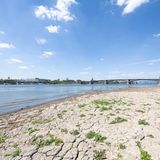Rhein trocken - Mainz