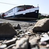 Ein Schiff wird kommen? Dieses wohl in den nächsten Tagen nicht mehr. Trockengefallen liegt dieser Kahn zwischen den Rhein-Buhnen bei Düsseldorf.