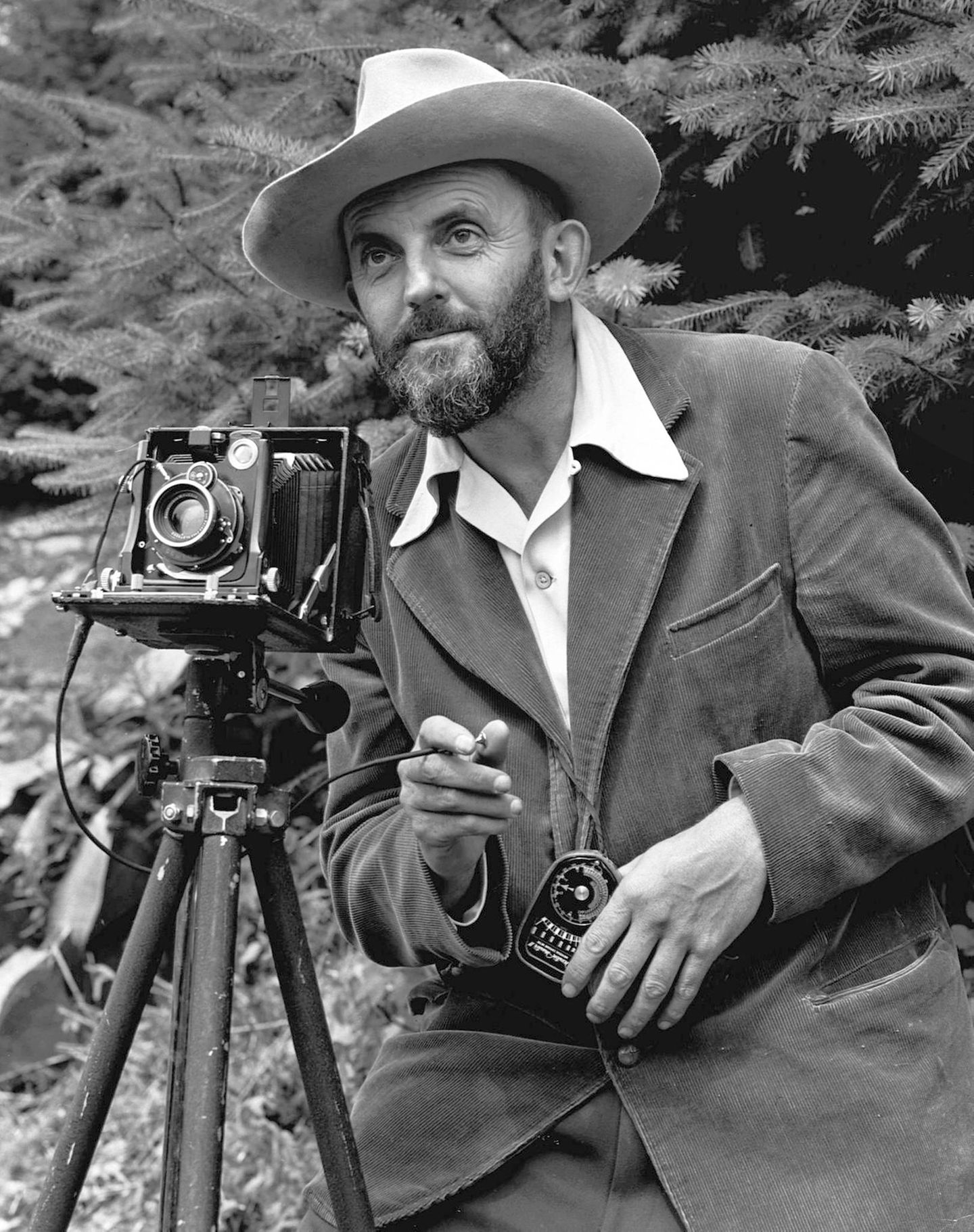 Ansel Easton Adams
