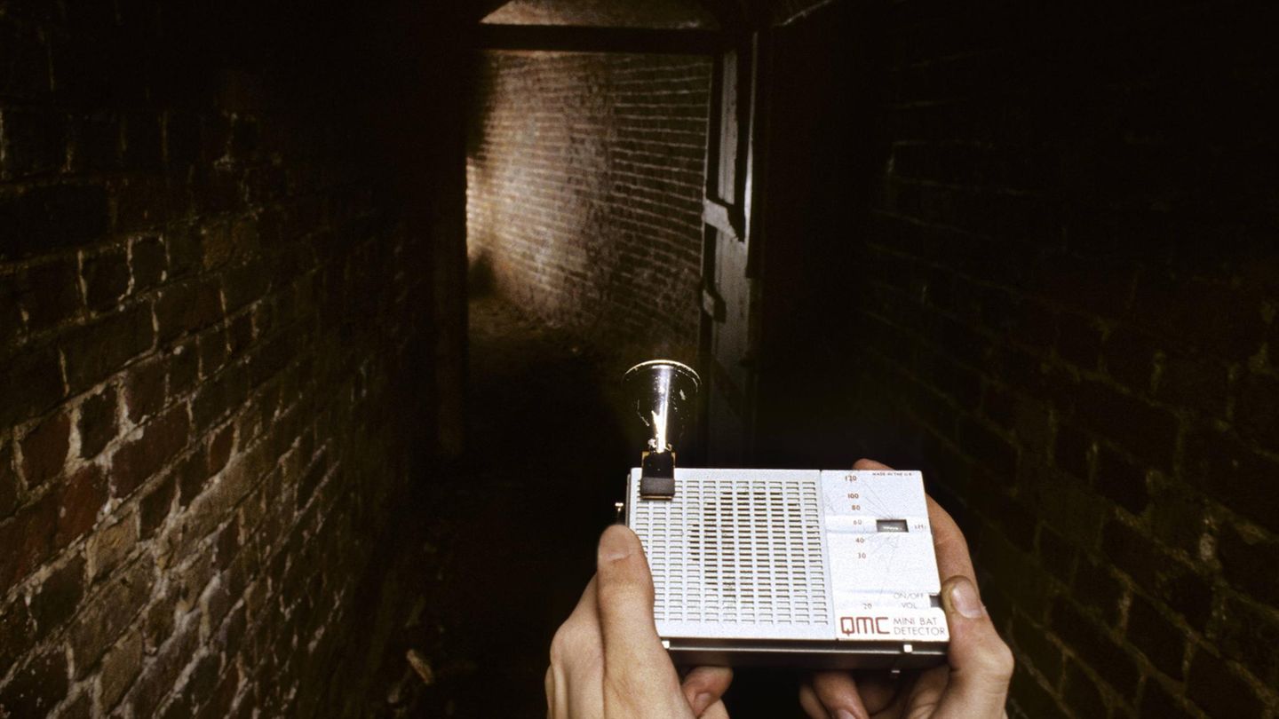 Fledermaus Batnight Bat Detector