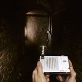 Fledermaus Batnight Bat Detector