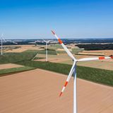 Fledermaus Batnight Windkraft