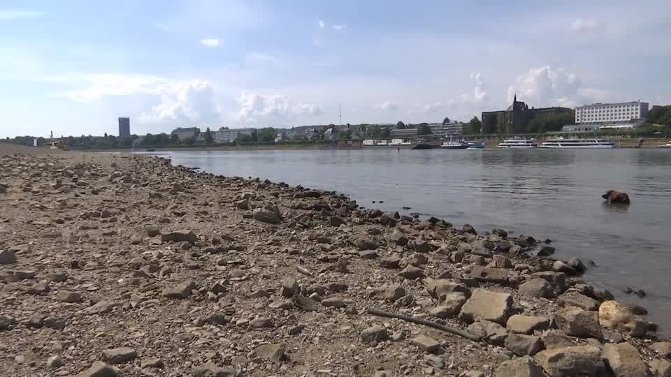 Video: Amt erwartet steigende Rhein-Pegel: "50 Zentimeter und mehr" Video: Amt erwartet steigende Rhein-Pegel: "50 Zentimeter und mehr"
