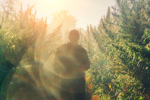 Drogenflucht aus dem Alltag - Ein Mann steht im Sonnenlicht in der Natur