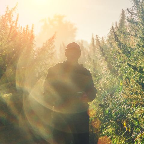 Drogenflucht aus dem Alltag - Ein Mann steht im Sonnenlicht in der Natur