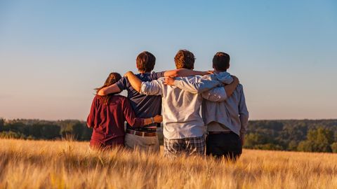 Vier Freunde stehen Arm in Arm auf einem Feld.