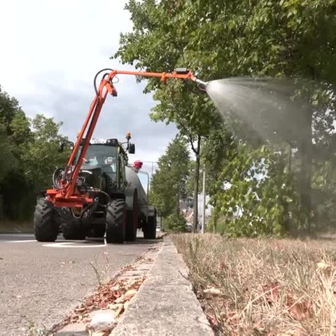 Video: Wasser aus dem Hallenbad für durstige Bäume