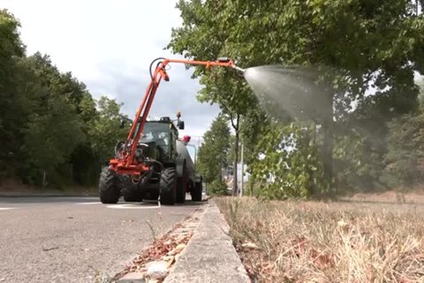 Video: Wasser aus dem Hallenbad für durstige Bäume