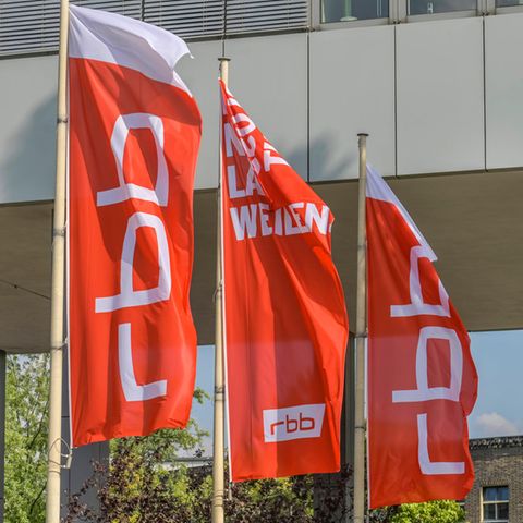 Der RBB wird von der Schlesinger-Affäre geschüttelt. Nun ist erstmals klar, was die anderen Senderchefs verdienen.