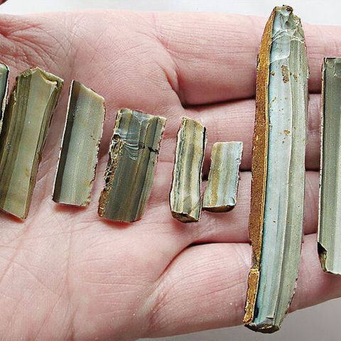 Neun grau gebänderte Steinklingen auf einer Hand