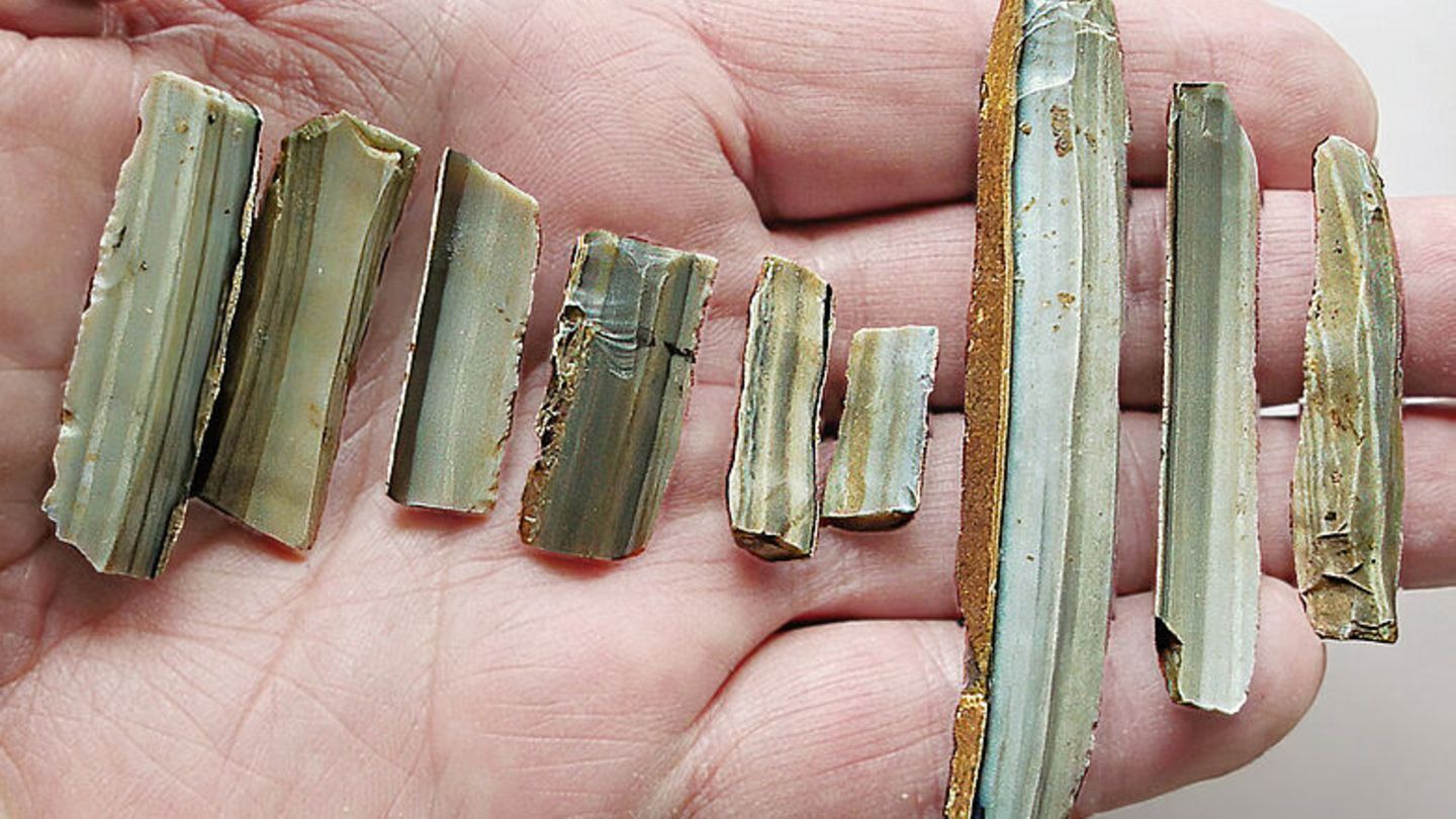 Neun grau gebänderte Steinklingen auf einer Hand Neun grau gebänderte Steinklingen auf einer Hand