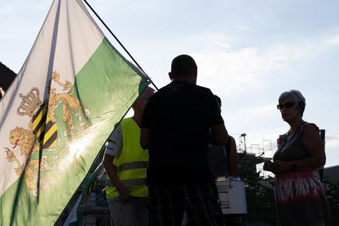 Protestwelle befürchtet: Kommt der "Wut-Winter"? (Symbolbild von Demonstrant mit Fahne)