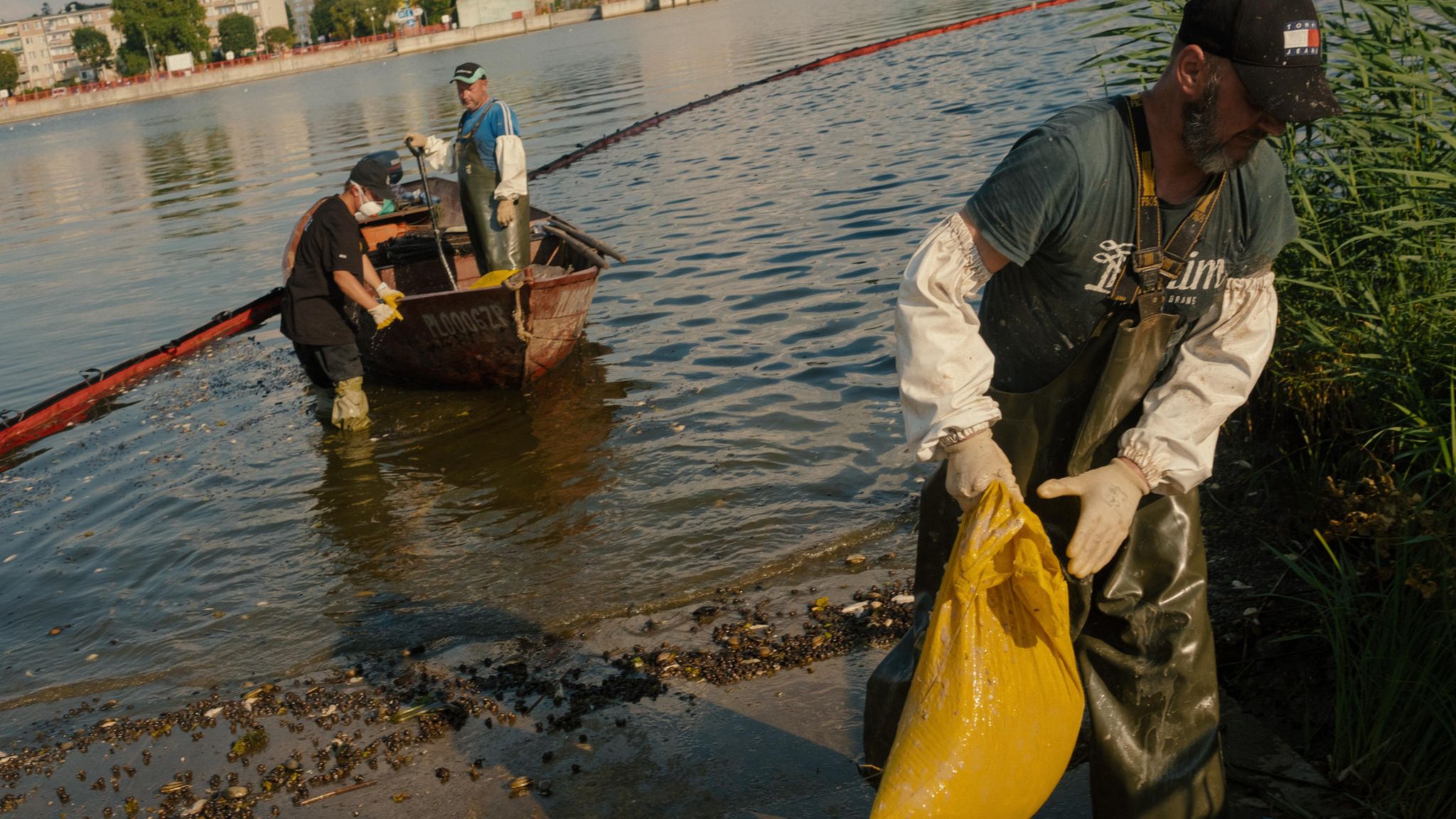Statt frischer Fische ziehen die Helfer an der Oder säckeweise tote Fische an Land