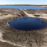 Die abgestorbenen Bäume im britischen Bodmin Moor in Cornwall dürfen nach langer Zeit mal wieder ein Sonnenbad nehmen. Normalerweise liegen sie unter der Wasseroberfläche.