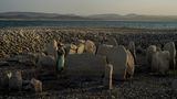 Der Valdecanas-Stausee, ebenfalls in Spanien, hat sogar ein prähistorisches Grab (Dolmen) freigelegt. Der Steinkreis wird auch Stonehenge von Spanien genannt und ist nach Schätzungen von Wissenschaftlern rund 7000 Jahre alt.