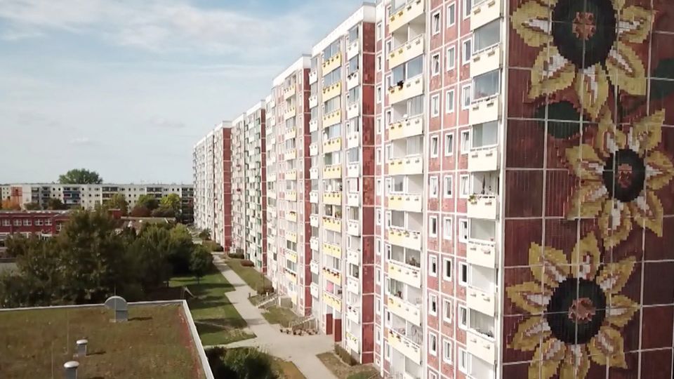 Anschlag in Lichtenhagen: Rostocker Ermittler berichtet über geheimen Einsatz vor dem Sonnenblumen-Haus