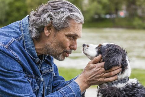 Hunde können weinen